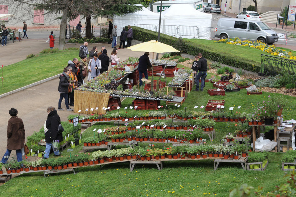 8e foire de plantes rares au parc Genay !