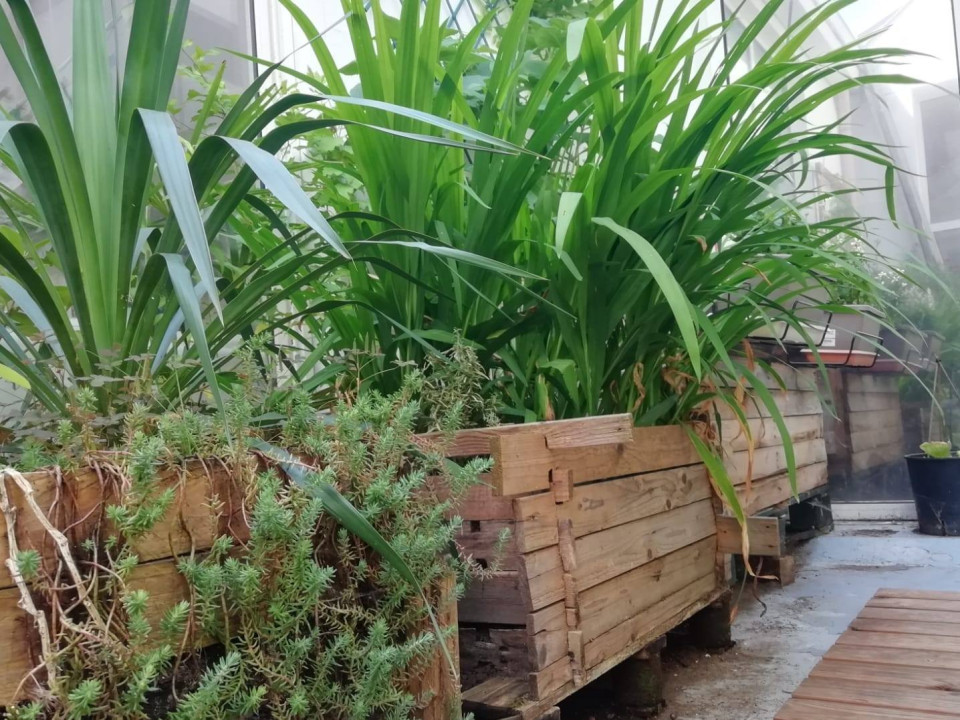 Loisirs : Atelier fabrication d'une jardinière en bois et composition d'une jardinière de balcon