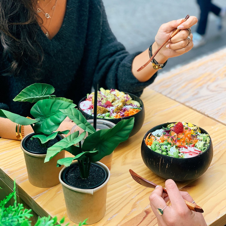 YUMMY : Opening  de Free Poké